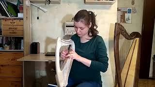 OST Brave - cover on a 16-string harp Saoirse by Jack Harps