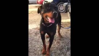 Jesse our foster ;-)