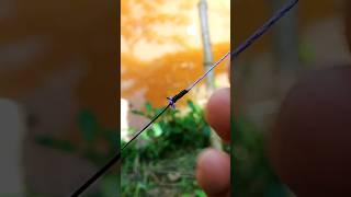 Strong Smooth Fishing Knot for Braid to Mono or Fluorocarbon #fishing #fishingknot #tutorial #tips