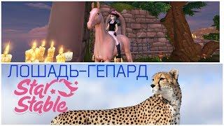 ПОКУПКА ГРУСТНОГО АХАЛТЕКА/НОВАЯ ПОРОДА В Star Stable.ЛОШАДЬ,СОЗДАННАЯ ДЛЯ КОНКУРА/SSO.АХАЛТЕКИНСКАЯ