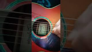 Takamine PTU741 CYS Bluegrass Guitar / Test Guitar Record With Android Phone