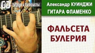 Испанская гитара фламенко. Урок 22 (Не Дидюля) Отличная фальсета булериас