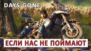 DAYS GONE (ПРОХОЖДЕНИЕ) #64 - ЕСЛИ НАС НЕ ПОЙМАЮТ