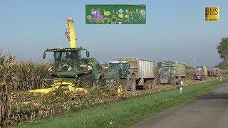 Großeinsatz Maishäckseln / 20 Fahrzeuge Biogasanlage biggest farmer corn harvest Maisernte  LU Blunk