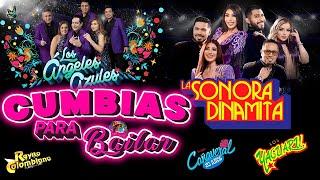 Los Ángeles Azules, La Sonora Dinamita, Los Yaguaru, Los Askis, Grupo Cañaveral, Rayito Colombiano