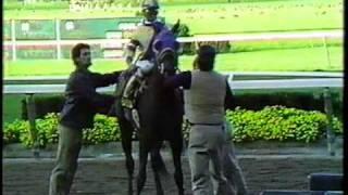 Slew o' Gold - 1983 Jockey Club Gold Cup (CBS)