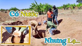 Đông Paulo || Bản Mới Giúp Cuối Cùng Đã CÓ NƯỚC, Nhưng Mà Nước Lạ Lắm, Có Sử Dụng Được Không?