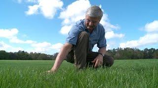 Keep a Lush Lawn Without Wasting Water | Consumer Reports