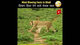 Mind Blowing Facts in Hindi  Amazing Facts | Interesting facts | Top 10 #HindiTVIndia #Shorts