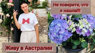 Идем в Баннингс за цветами. Ну и цены! Живу в Австралии. #жизньвавстралии #австралия