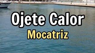 Ojete calor -  Mocatriz #karaoke #mocatriz #ojetecalor #караоке #испанскийпопесням