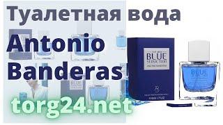 Туалетная вода мужская Antonio Banderas Blue Seduction 100ml купить на torg24