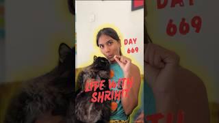 Lws day 669/1000 #shrihitt #vlog #cat