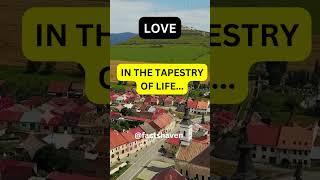 In the Tapestry of Life | Love Quotes | Facts Haven