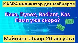 KASPA ИНДИКАТОР ДЛЯ МАЙНЕРОВ! МАЙНИНГ ОБЗОР 26 АВГУСТА // NEXA, DYNEX, RADIANT, KASPA