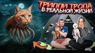 ТРИПИ ТРОПИ В РЕАЛЬНОЙ ЖИЗНИ | 24 ЧАСА НА ЗАКОЛДОВАННОМ ПЛЯЖЕ С КОТАМИ