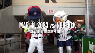 2022-23 Maine Mariners Season Recap!