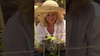 Funny Garden Mystery Solved With a Wild Idea!