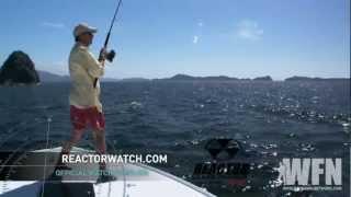 Saltwater Jig Fishing In Costa Rica