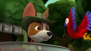 A nose for adventure  | Paw Patrol on Nickelodeon | DStv