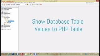 Showing Database Values in Table Using PHP