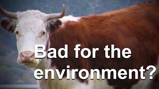 Do Cow Farts Really Significantly Contribute to Global Warming?