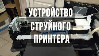 Устройство струйного принтера Epson из чего состоит струйный принтер