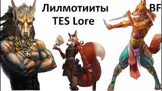 TES lore (Зверорасы). Лилмотииты-лисья раса Тамриэля и всё о ней.