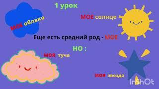 1 урок. Категория рода в русском языке. Местоимения мужского, женского, среднего рода.