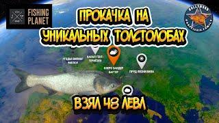 Fishing Planet (FP)- ПРОКАЧКА 48 УРОВНЯ ЗАНДЕР БАГГЕР НА УНИКАЛЬНЫХ ТОЛСТОЛОБАХ