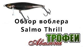 Обзор воблера Salmo Thrill - магазин "Трофеи Авалона"