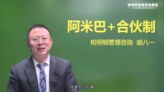 阿米巴——什么是阿米巴经营模式