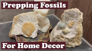 Prepping fossils for home decoration