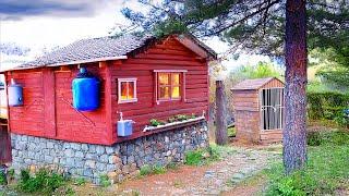 Restoration of a Wooden House | Weatherproof Shelter | From Start to Finish. SOLO