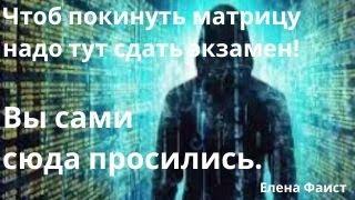 Чтоб покинуть матрицу надо тут сдать экзамен! Вы сами сюда просились. / Елена Фаист * BRAVO TV *