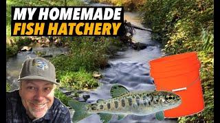 My HOMEMADE FISH HATCHERY (Will it work?) ‍️