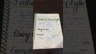 How I take notes  -Tip for neat note taking  #study #motivation #viralshorts #youtube