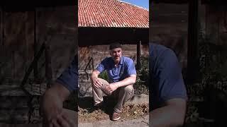 Ingushetia: The Untold Story – Part Two: The Medieval Ingushetia #film #ingushetia #Caucasus #Nazran