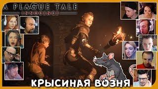 Реакции Летсплейщиков на Появление Крыс из A Plague Tale: Innocence