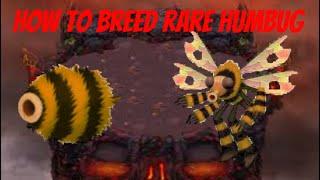 How to breed rare Humbug on earth island!