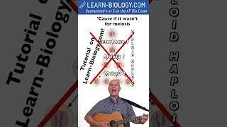 If it wasn't for Meiosis! From Mr. W's Meiosis Song