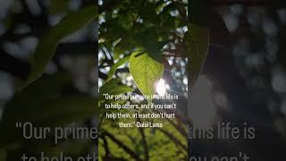 Our prime purpose in this life is to help others,& if you can't help them,at least don't hurt them.