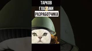 Тарков глазами разработчика #нихтмаре #тарков #escapefromtarkov #eft #tarkov #battlestategames