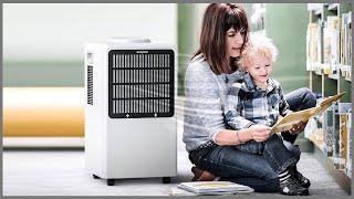 Top 5 Best Commercial Dehumidifiers In 2023 reviews