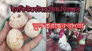 ইনকিউবেটরে ডিম দেয়ার আগে যে ভুলটি করবেননা। #egg #ডিম #ফাওমি #মুরগি #মুরগি_পালন_পদ্ধতি