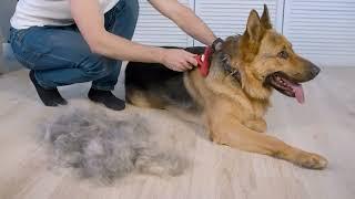 FURMINATOR DOG XL Фурминатор для собак гигантских пород - лучший инструмент против линьки.