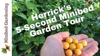 Herrick Kimball's 5-Second Minibed Garden Tour