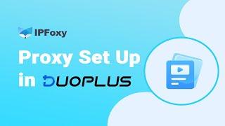 How to Set up Proxies on DuoPlus Cloud Phone？| IPFoxy Proxy Tutorial