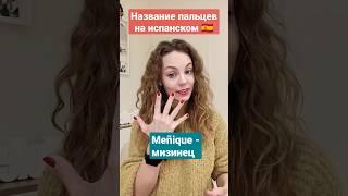 Название пальцев на испанском: испанский для начинающих