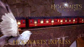 Hogwarts Express Train